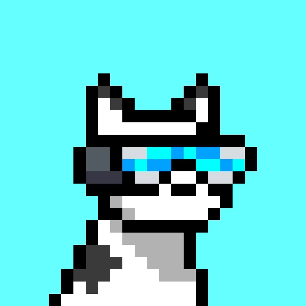 JawaMeta pixel dog profile picture — Jawa (@JawaMeta) Official JawaMeta cyan-background pixel dog profile picture of Jawa (@JawaMeta), white and black dog with a cyan visor